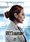 Anatomia de Grey (17ª Temporada)